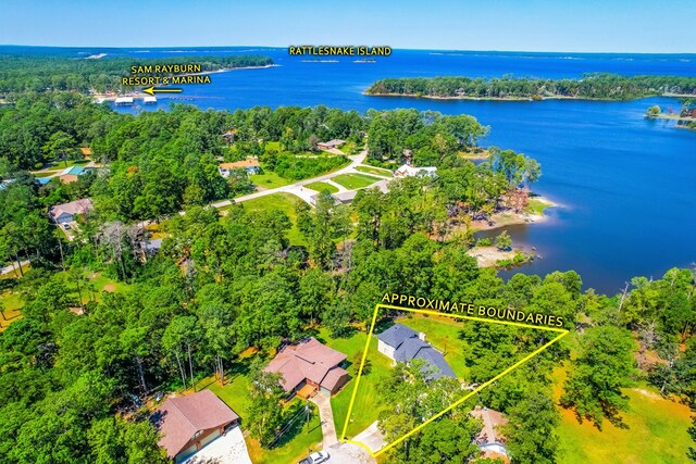 232 Cove Ln, Brookeland, TX 75931 - view of property location featuring a large body of water and property boundaries highlighted