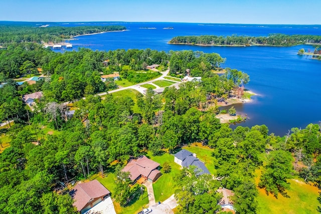 232 Cove Ln, Brookeland, TX 75931 - bird's eye view of a large body of water