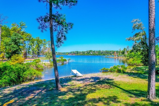 232 Cove Ln, Brookeland, TX 75931 - water view with a boat dock