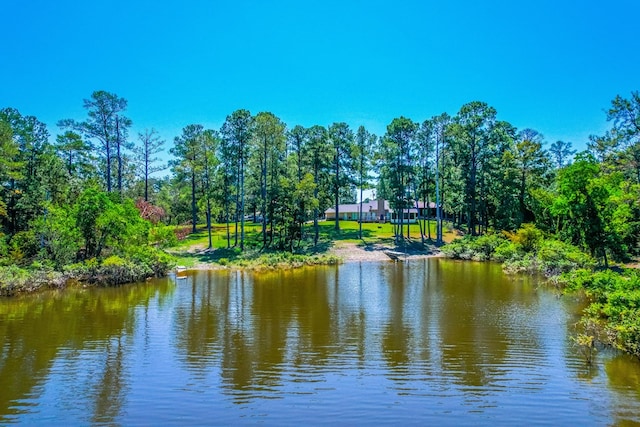 232 Cove Ln, Brookeland, TX 75931 - water view
