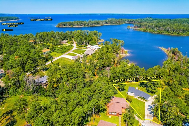 232 Cove Ln, Brookeland, TX 75931 - aerial view of property's location with a large body of water, property parcel outlined, and a heavily wooded area