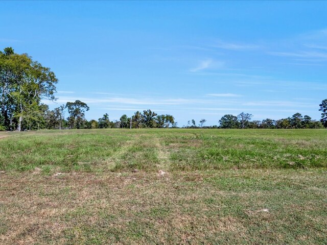 view of nature with a rural view