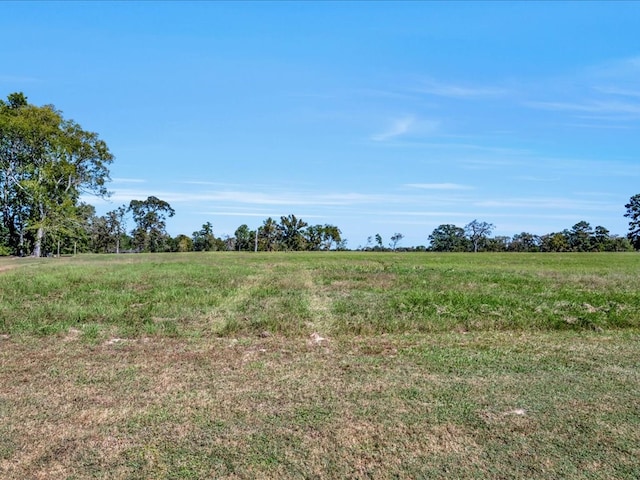 260 Fish Rd, Lufkin, TX 75901 - photo 54