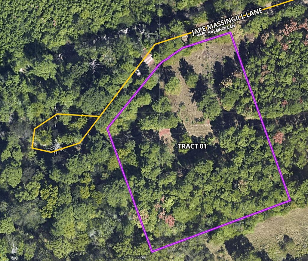 TBD-01 Jape Massingill Ln, Diboll, TX 75941 - photo 1