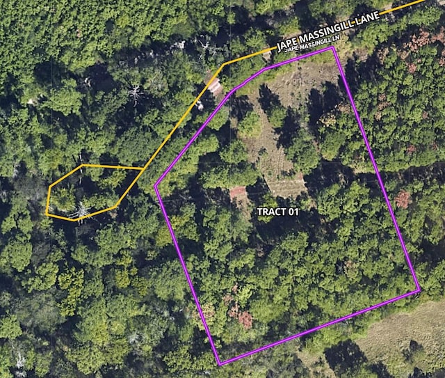 TBD-01 Jape Massingill Ln, Diboll, TX 75941 - photo 1