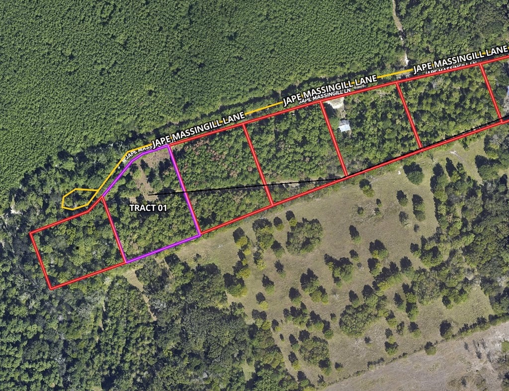 TBD-01 Jape Massingill Ln, Diboll, TX 75941 - photo 2