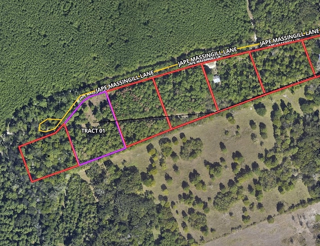 TBD-01 Jape Massingill Ln, Diboll, TX 75941 - photo 2