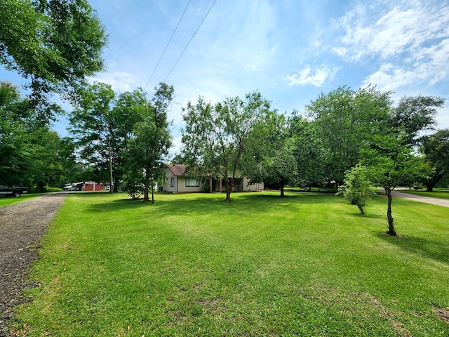 493 Hideaway Loop, Hemphill, TX 75948 - view of green lawn featuring driveway