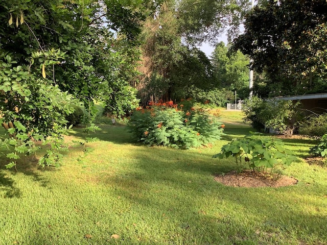 1520 W Court St, Newton, TX 75966 - photo 16