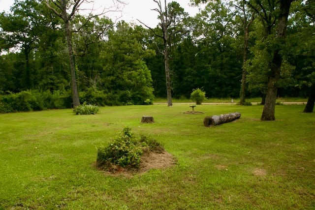 599 Gaylon Wallace Rd, Lufkin, TX 75901 - photo 14