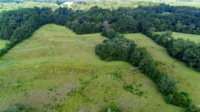 599 Gaylon Wallace Rd, Lufkin, TX 75901 - photo 21