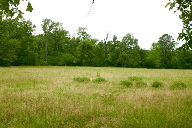 599 Gaylon Wallace Rd, Lufkin, TX 75901 - photo 10