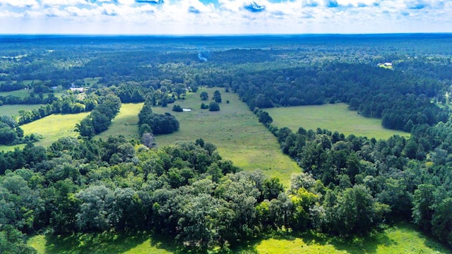 599 Gaylon Wallace Rd, Lufkin, TX 75901 - photo 24