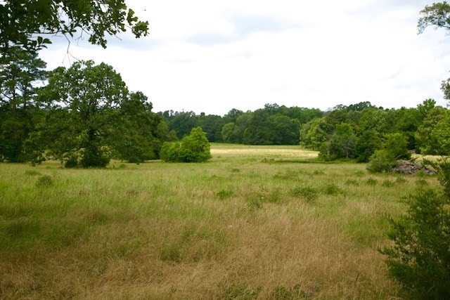 599 Gaylon Wallace Rd, Lufkin, TX 75901 - photo 8