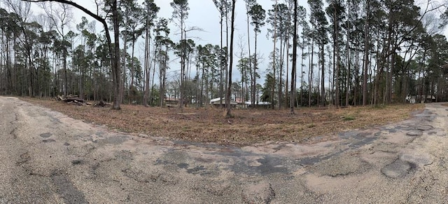 196 Commodore Dr, Hemphill, TX 75948