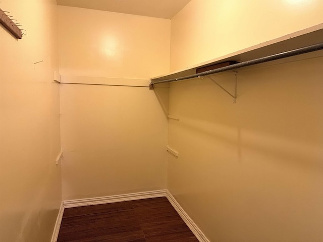 spacious closet with hardwood / wood-style floors