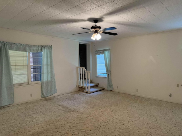 spare room featuring carpet flooring, ceiling fan, and ornamental molding