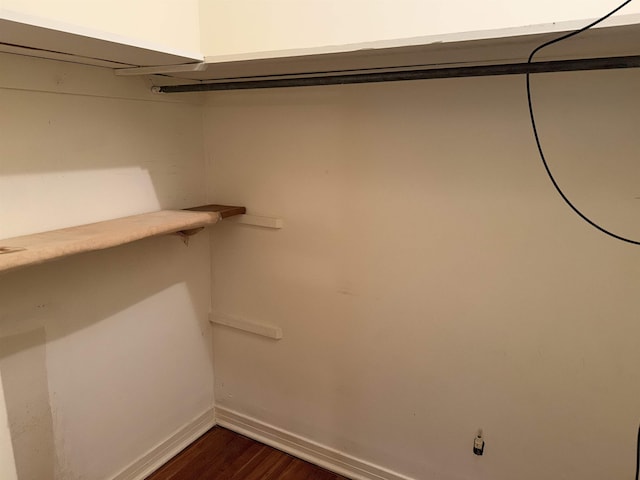 spacious closet with dark hardwood / wood-style flooring