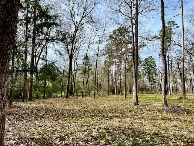 Listing photo 2 for TBD Roberts Lane, Diboll TX 75941