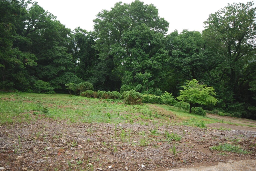 4375 Chickering Ln, Nashville, TN 37215 - photo 4
