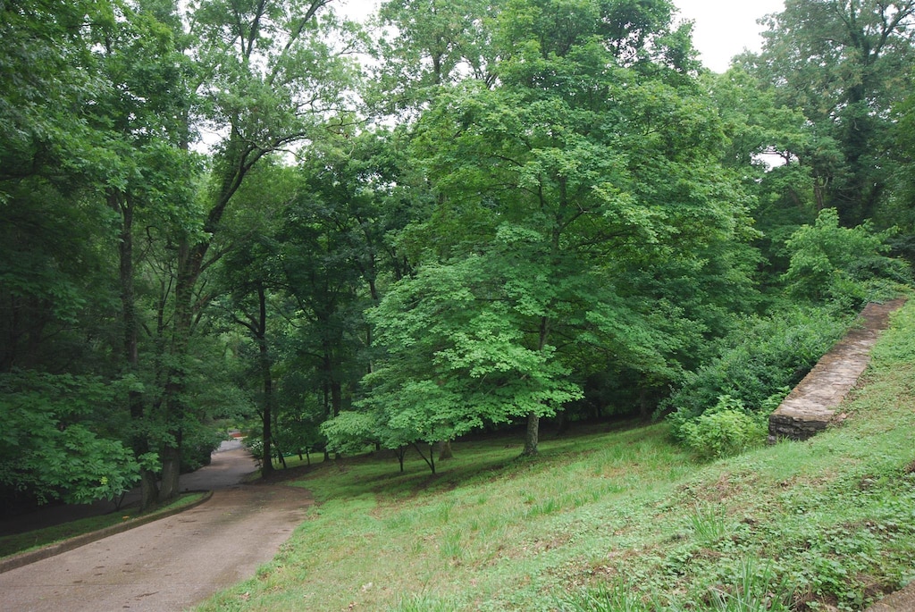 4375 Chickering Ln, Nashville, TN 37215 - photo 3