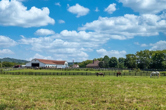 view of yard with a rural view