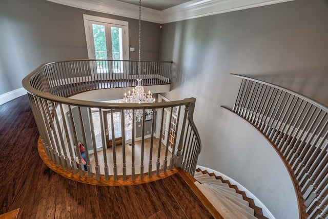 stairs featuring an inviting chandelier, crown molding, and dark hardwood / wood-style floors