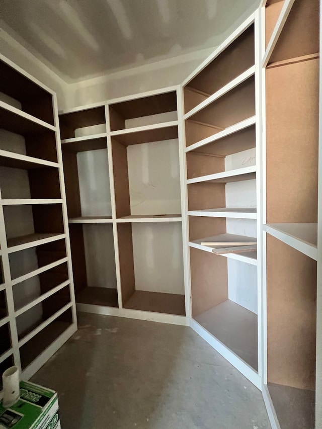 view of walk in closet