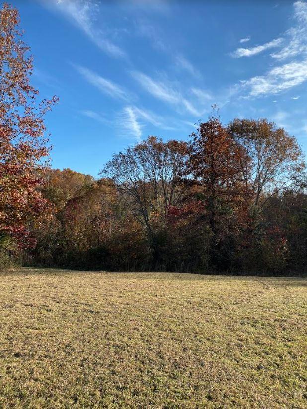 Listing photo 2 for 0 Summer Breeze Dr, Smithville TN 37166