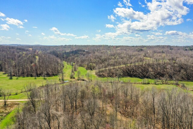 0 Jack Saunders Rd, Waverly, TN 37185 - photo 5