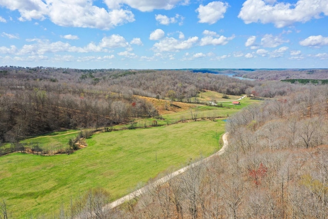 0 Jack Saunders Rd, Waverly, TN 37185 - photo 6