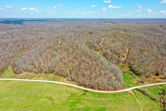 0 Jack Saunders Rd, Waverly, TN 37185 - photo 4