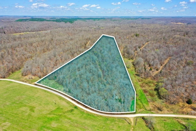 Listing photo 2 for 0 Jack Saunders Rd, Waverly TN 37185