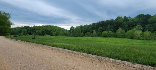 0 Jack Saunders Rd, Waverly, TN 37185 - photo 12