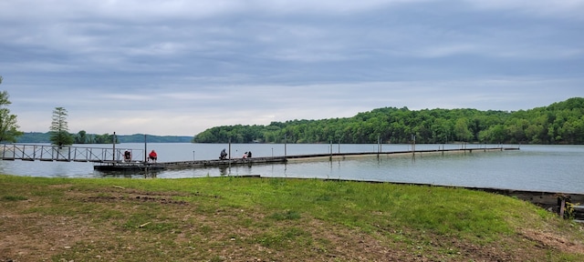 0 Jack Saunders Rd, Waverly, TN 37185 - photo 7