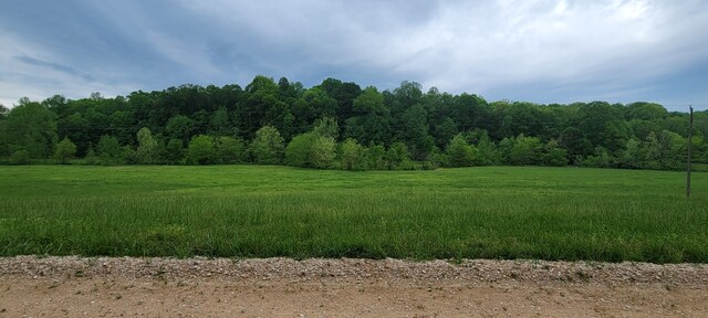 0 Jack Saunders Rd, Waverly, TN 37185 - photo 13
