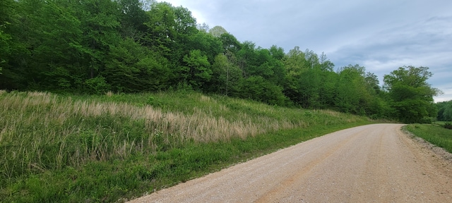 0 Jack Saunders Rd, Waverly, TN 37185 - photo 10