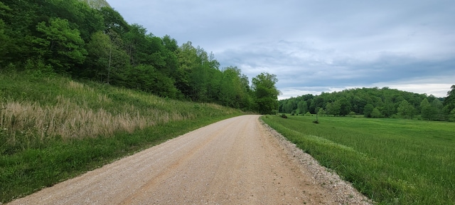0 Jack Saunders Rd, Waverly, TN 37185 - photo 11