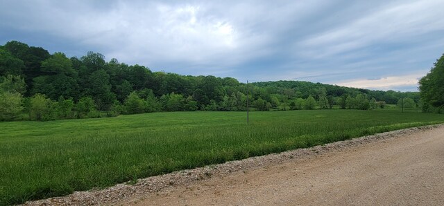 0 Jack Saunders Rd, Waverly, TN 37185 - photo 14