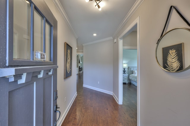 hallway featuring ornamental molding and dark wood-type flooring