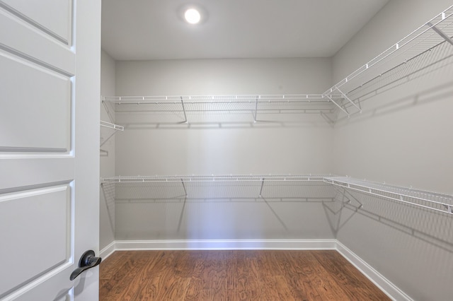 walk in closet with wood-type flooring