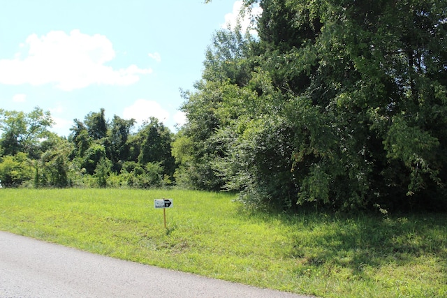 0 Higginbotham Rd, Mc Minnville TN, 37110 land for sale