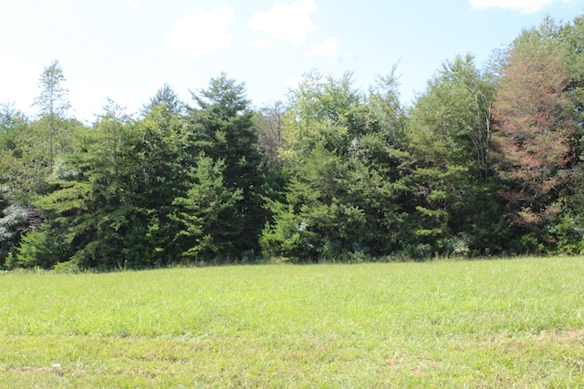 0 Higginbotham Rd, Mc Minnville TN, 37110 land for sale