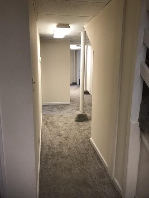 corridor featuring carpet floors