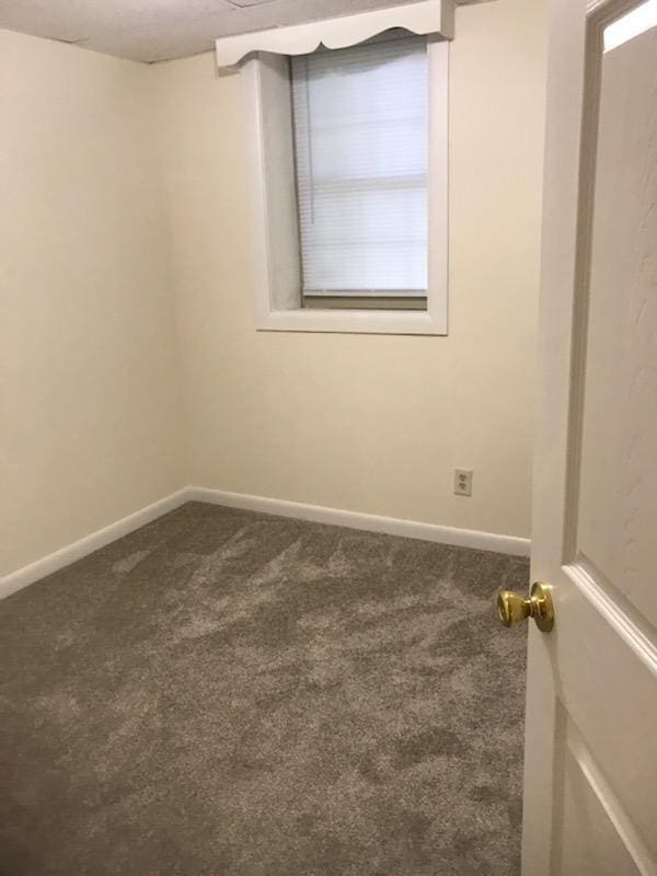 spare room with carpet flooring