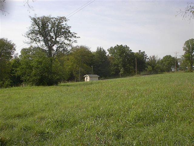 view of yard featuring a storage unit