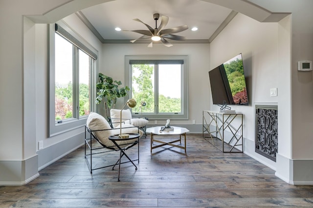 living area featuring ceiling fan, dark hardwood / wood-style flooring, and ornamental molding