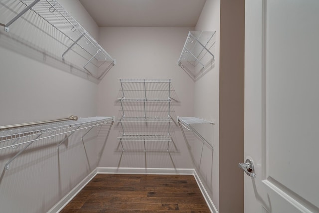 spacious closet with dark wood-type flooring