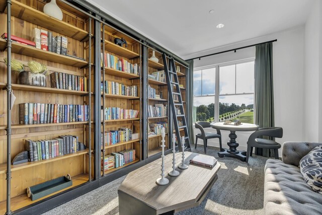 living area with carpet floors