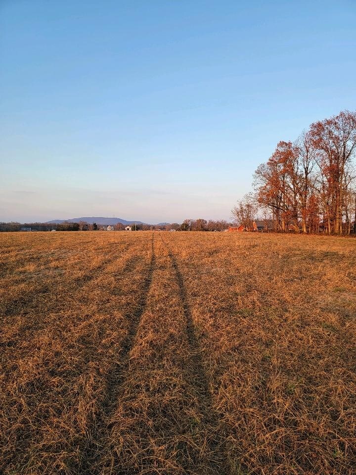 0 Center Hill Rd, Woodbury, TN 37190 - photo 2